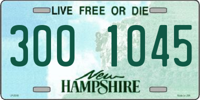 NH license plate 3001045