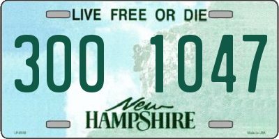 NH license plate 3001047