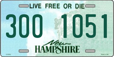 NH license plate 3001051