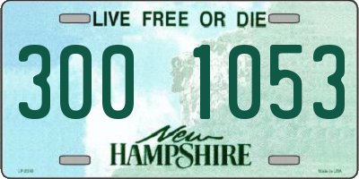 NH license plate 3001053