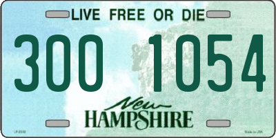 NH license plate 3001054