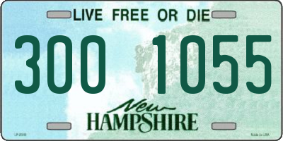 NH license plate 3001055