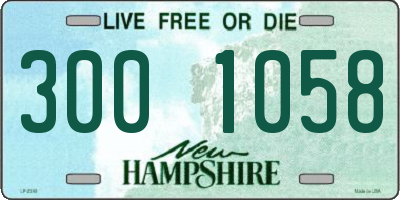 NH license plate 3001058