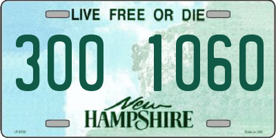 NH license plate 3001060