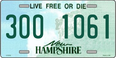 NH license plate 3001061