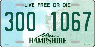 NH license plate 3001067