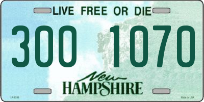 NH license plate 3001070