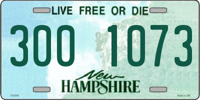 NH license plate 3001073