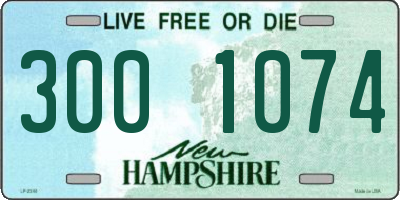 NH license plate 3001074