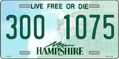 NH license plate 3001075