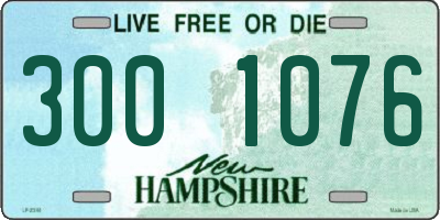 NH license plate 3001076
