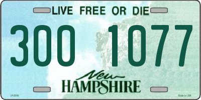 NH license plate 3001077