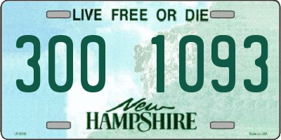 NH license plate 3001093