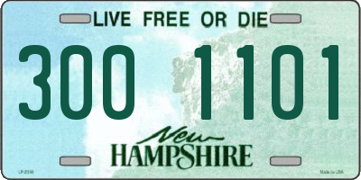 NH license plate 3001101