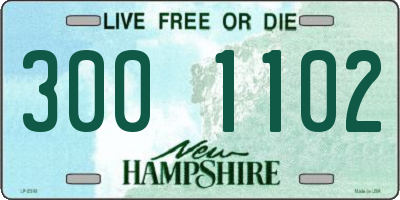 NH license plate 3001102