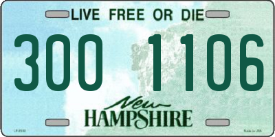 NH license plate 3001106