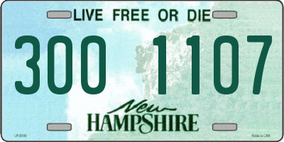 NH license plate 3001107