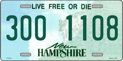 NH license plate 3001108