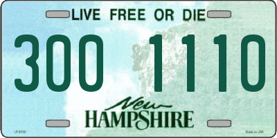 NH license plate 3001110