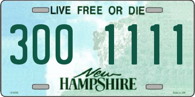 NH license plate 3001111