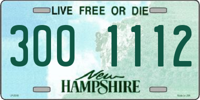 NH license plate 3001112