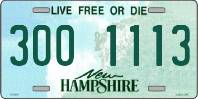 NH license plate 3001113