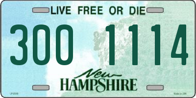 NH license plate 3001114