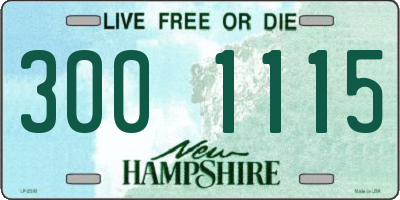 NH license plate 3001115