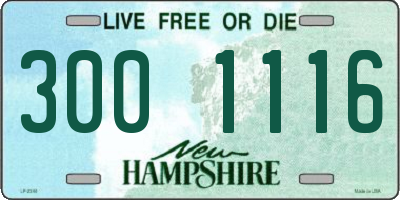 NH license plate 3001116