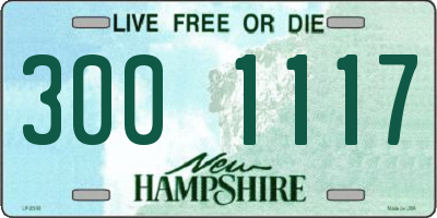 NH license plate 3001117