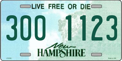 NH license plate 3001123