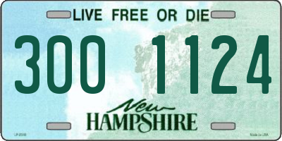 NH license plate 3001124