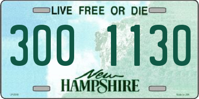 NH license plate 3001130