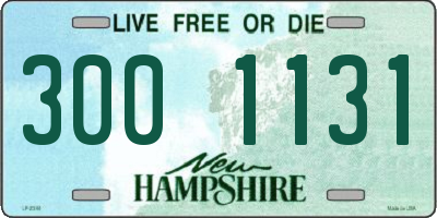 NH license plate 3001131