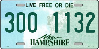 NH license plate 3001132