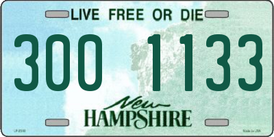 NH license plate 3001133