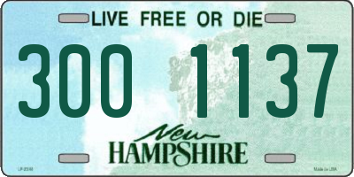 NH license plate 3001137