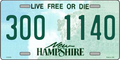 NH license plate 3001140