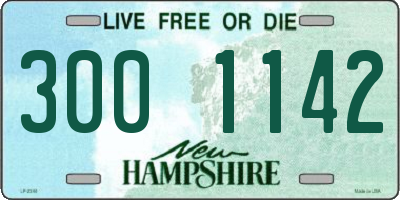 NH license plate 3001142