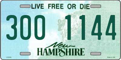 NH license plate 3001144