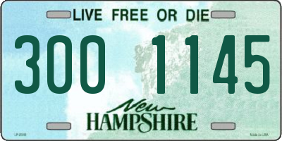 NH license plate 3001145