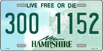 NH license plate 3001152