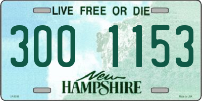 NH license plate 3001153