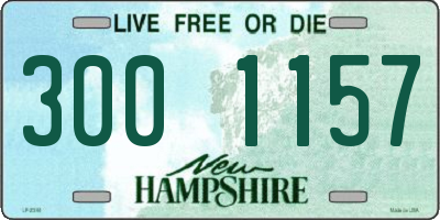 NH license plate 3001157