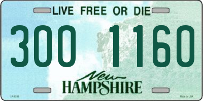 NH license plate 3001160