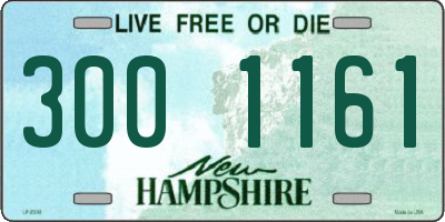 NH license plate 3001161