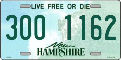 NH license plate 3001162