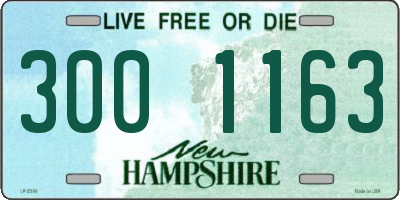 NH license plate 3001163