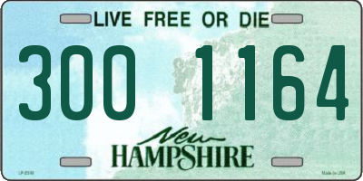 NH license plate 3001164