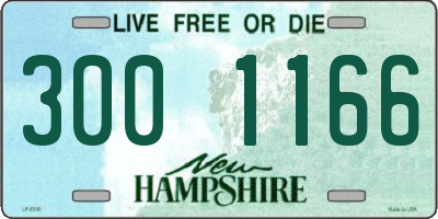 NH license plate 3001166